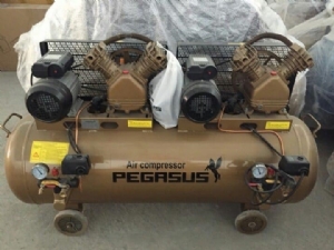 Máy nén khí dây đai PEGASUS TM-W-0.36/8-120L 220V